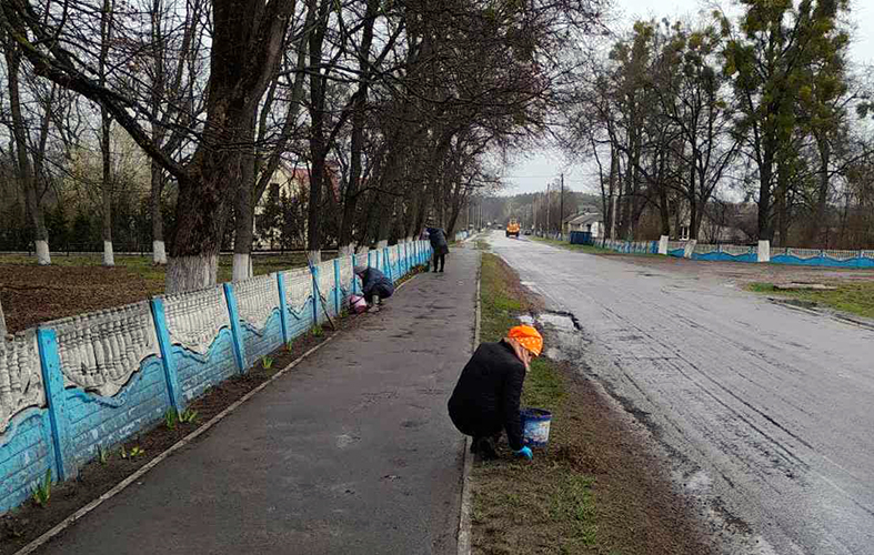 Посадка деревьев и уборка территории в Липово
