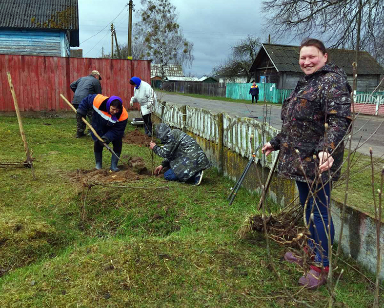 Посадка рябины в Козловичах