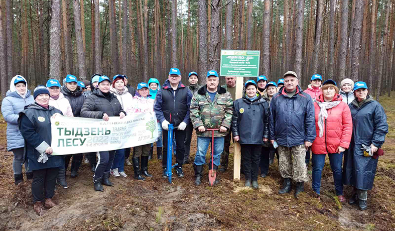 Работники райисполкома сажали деревья в Горбовичском лесничестве