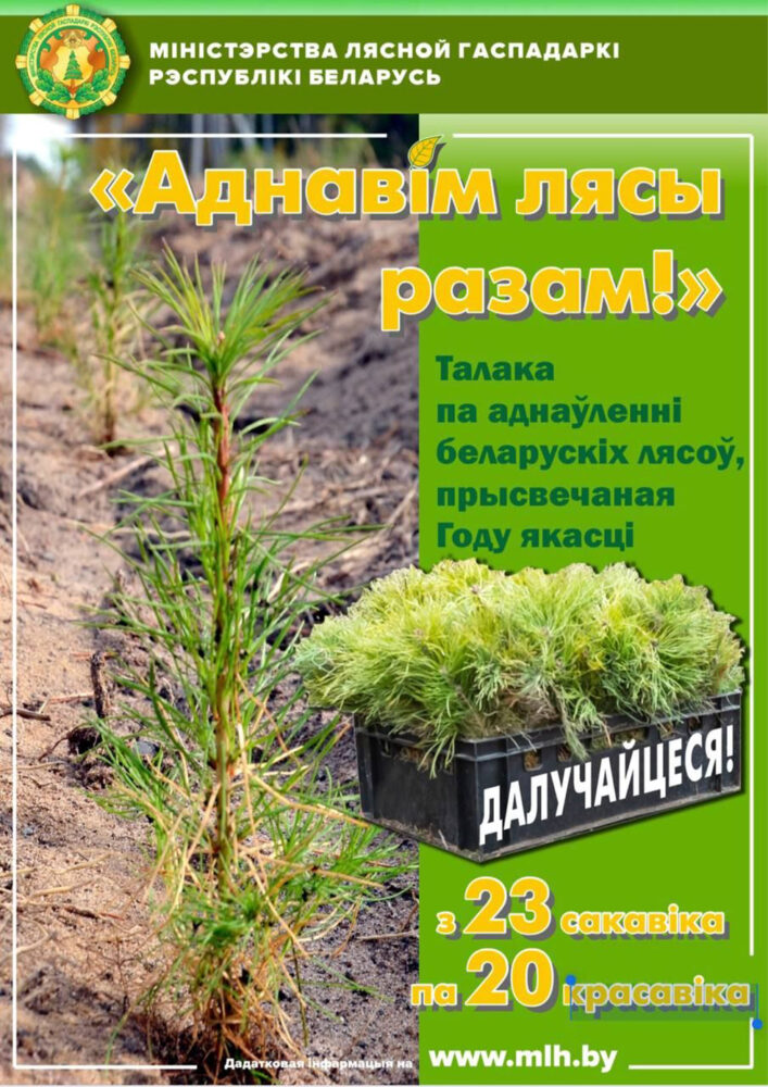 Аднавим лясы