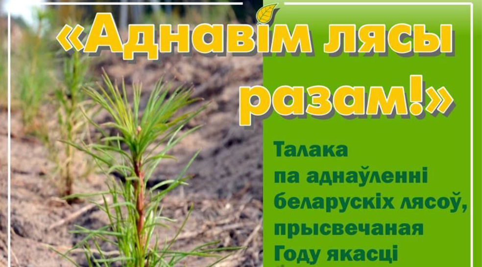 Аднавим лясы