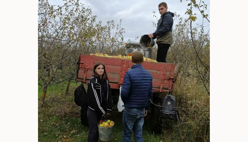 IMG_20221019_142905_720