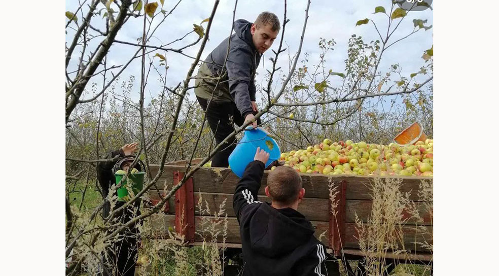 IMG_20221019_142909_781