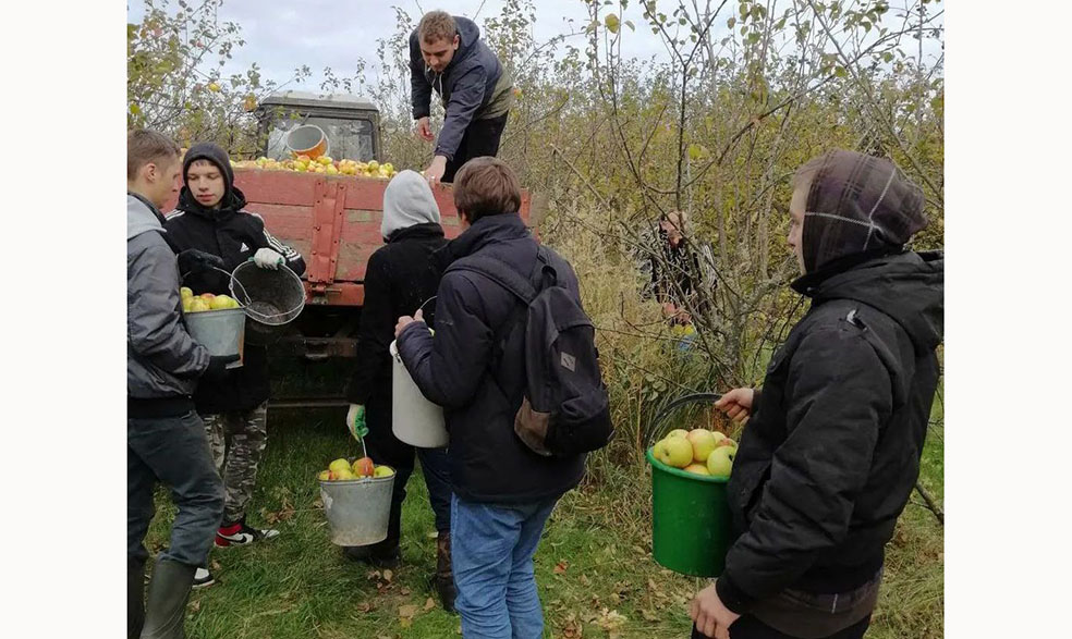 IMG_20221019_142912_251