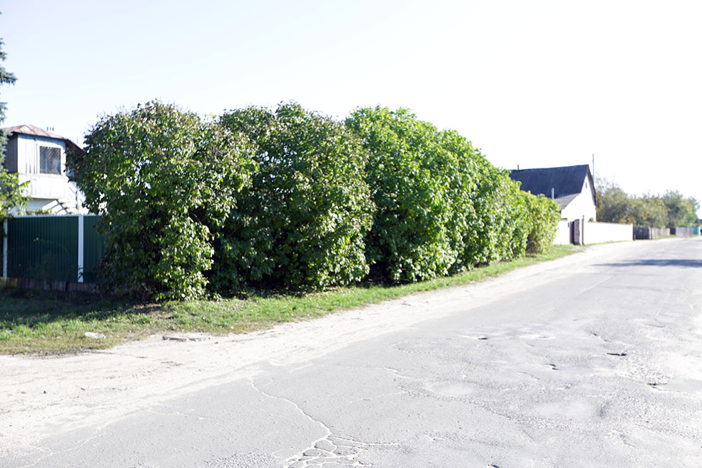 ул.Геологов