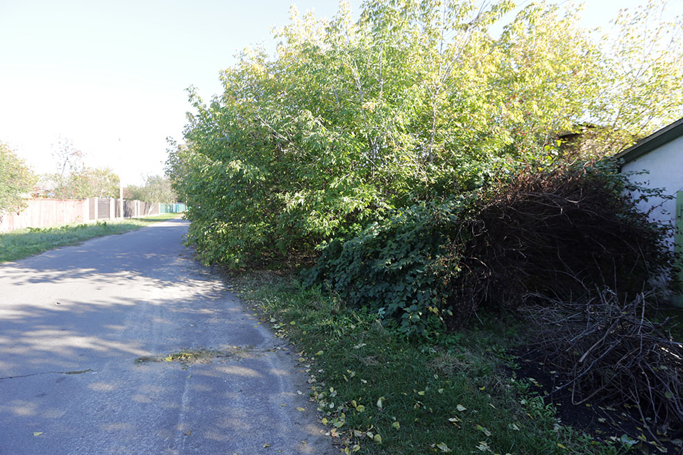 ул.Московская