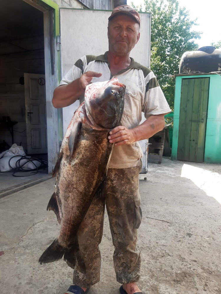 Виктор Климович