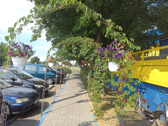 Арка из зелени у проходной 