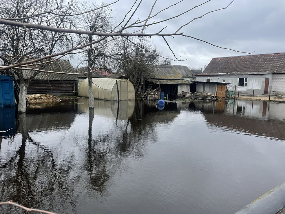 изображение_viber_2023-04-07_12-30-33-625