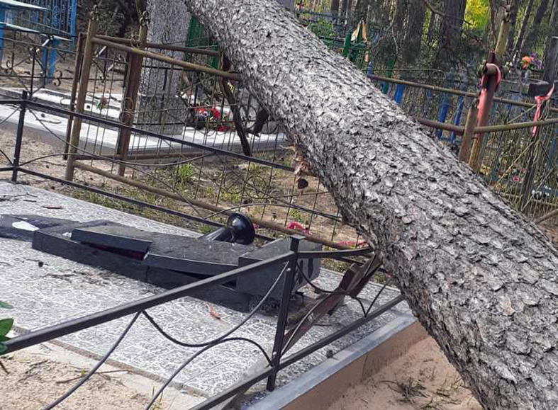 кладбище д.Бобровичи