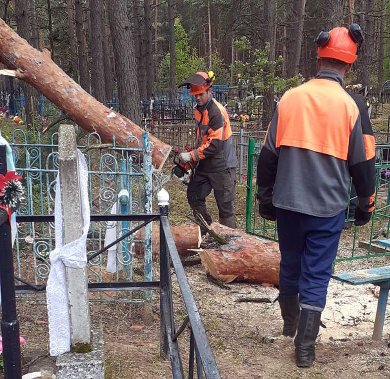 кладбище д.Бобровичи