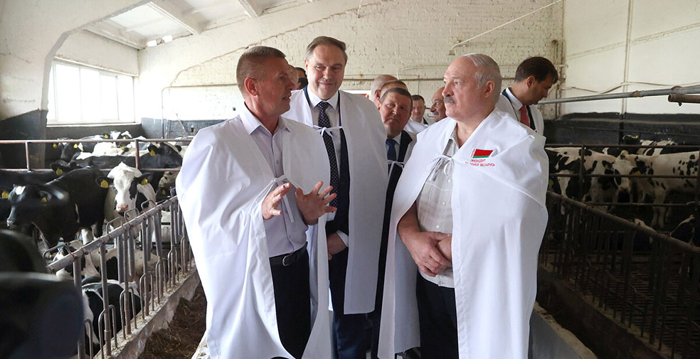 лукашенко в гродно1