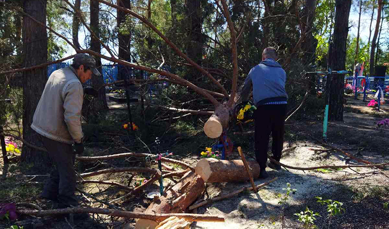 население убирает поваленные деревья в Козловичах