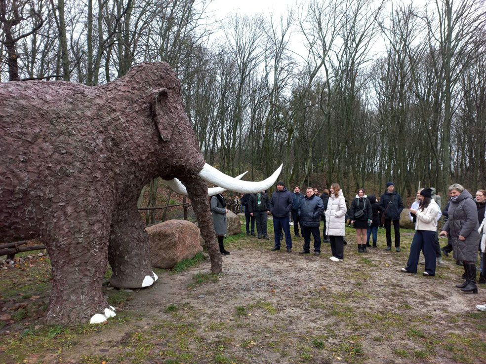 photo_2023-11-17_13-53-19