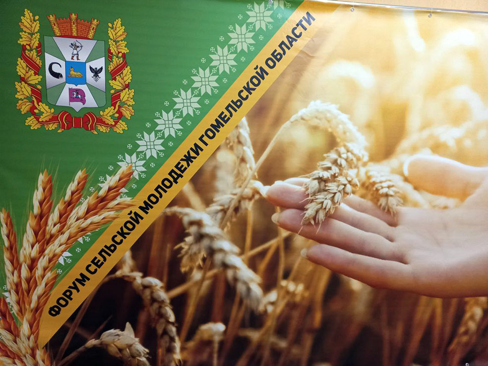 photo_2023-11-17_17-17-36 (2)