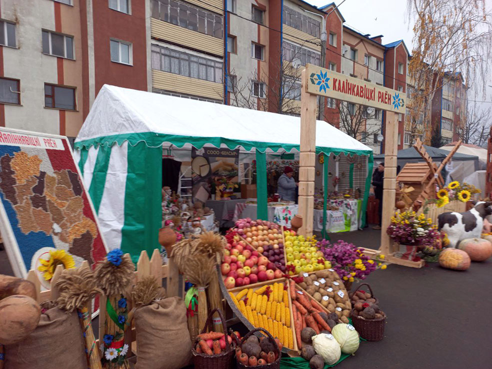 photo_2023-11-18_10-16-05