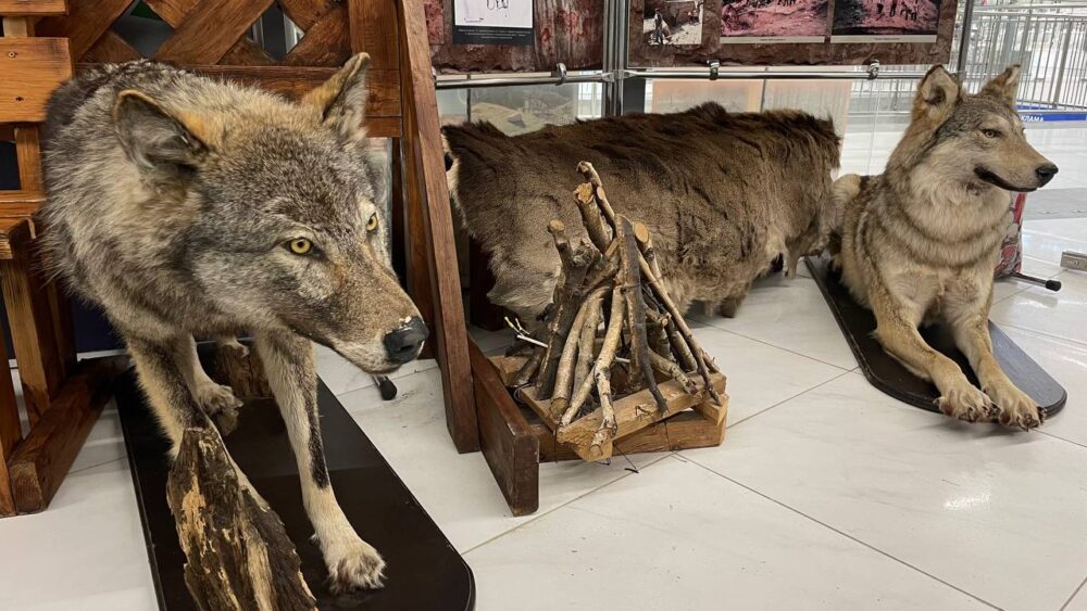 photo_2024-03-29_13-03-14