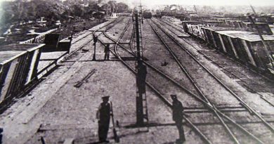 : участок Полесской железной дороги в районе станции Калинковичи, 1920 год