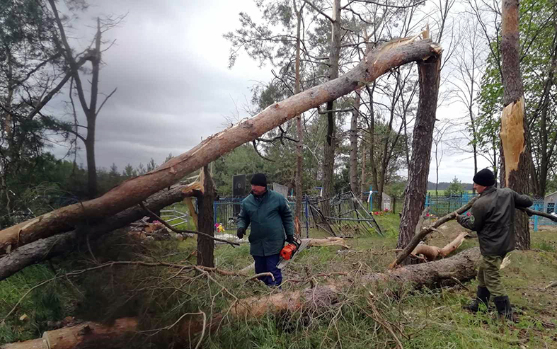 уборка бурелома в Озаричском сельсовете