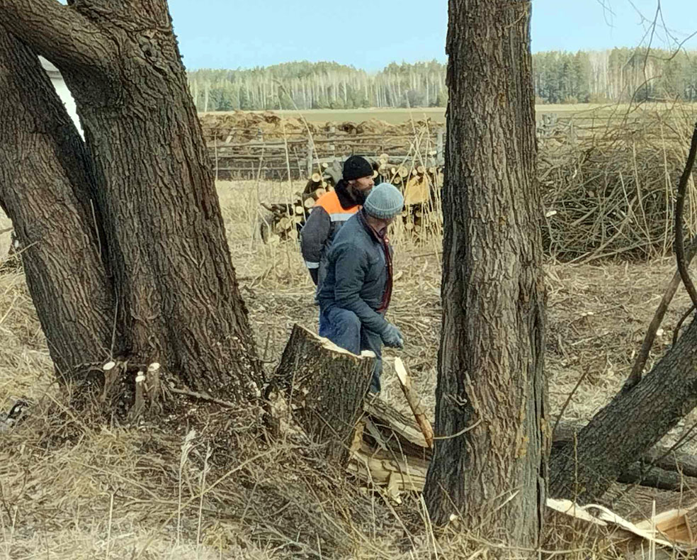 viber_image_2023-03-15_11-16-48-395