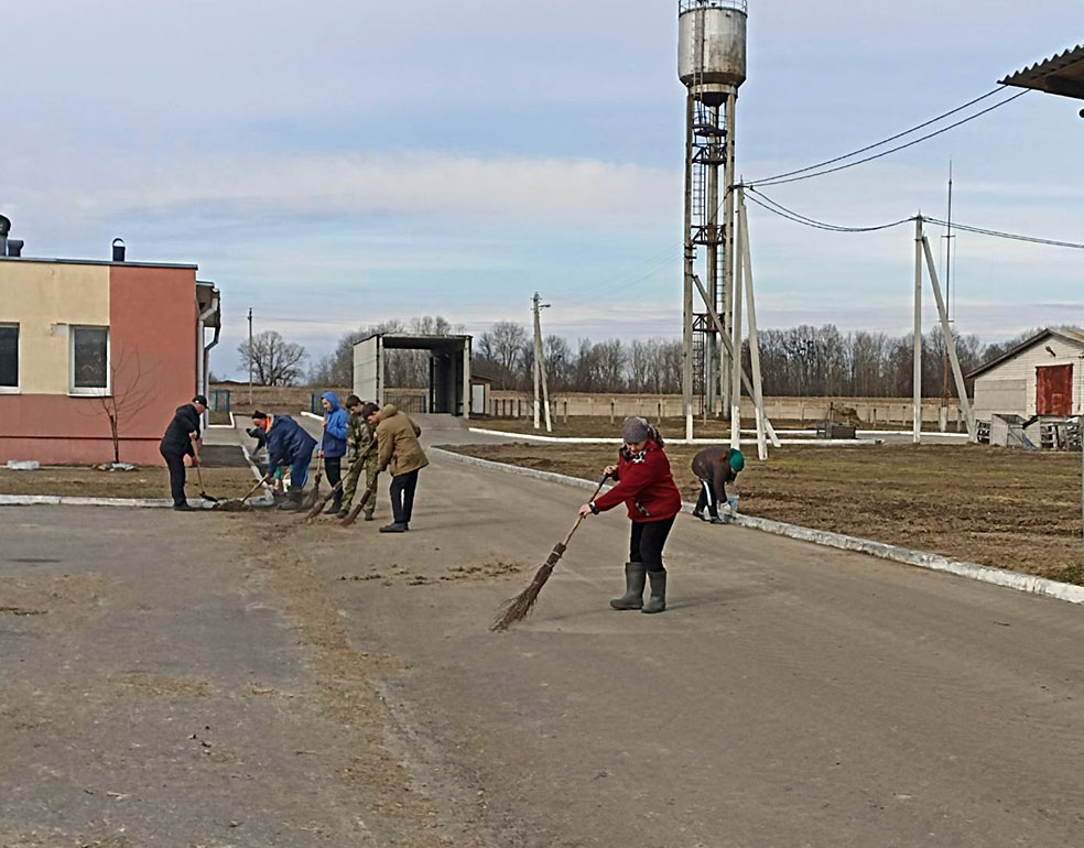 viber_image_2023-03-15_11-31-37-112