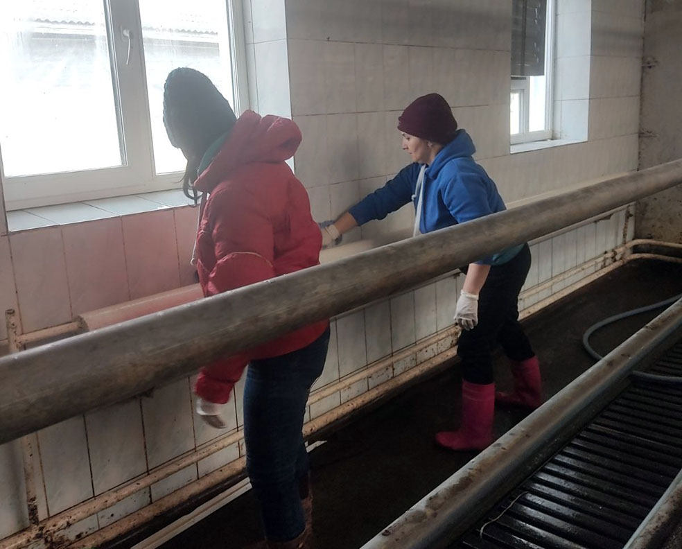 viber_image_2023-03-15_13-37-03-791