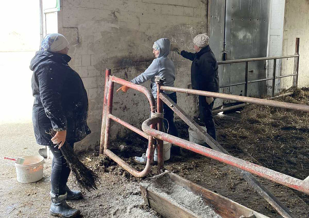 viber_image_2023-03-15_14-11-06-902