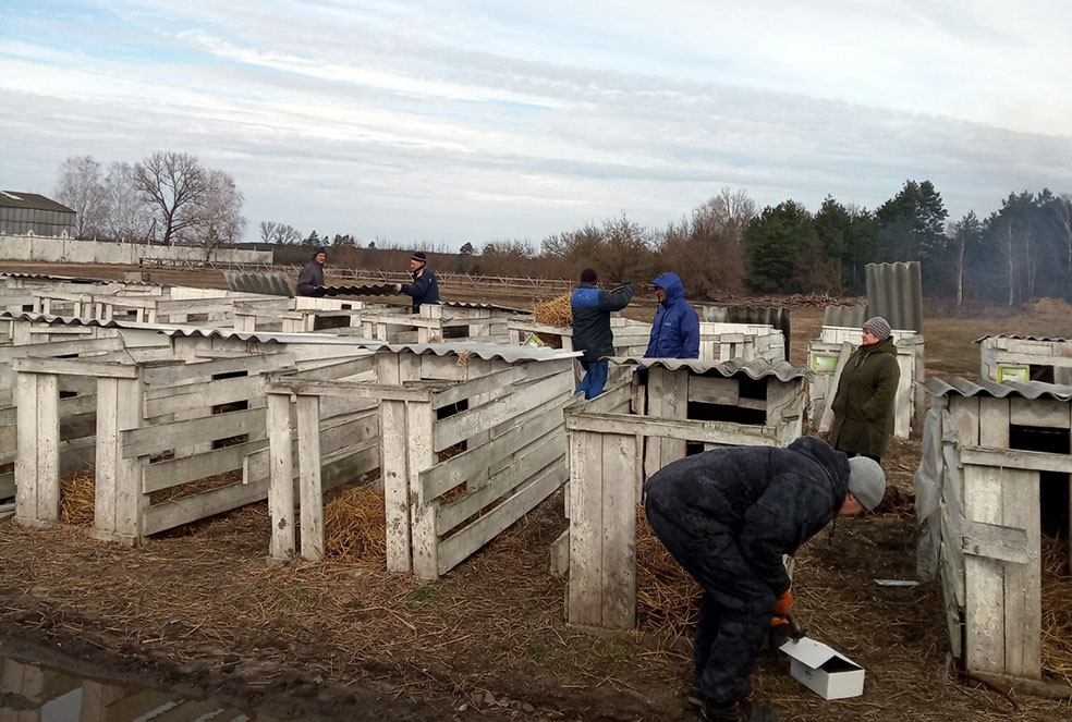 viber_image_2023-03-15_14-49-47-625