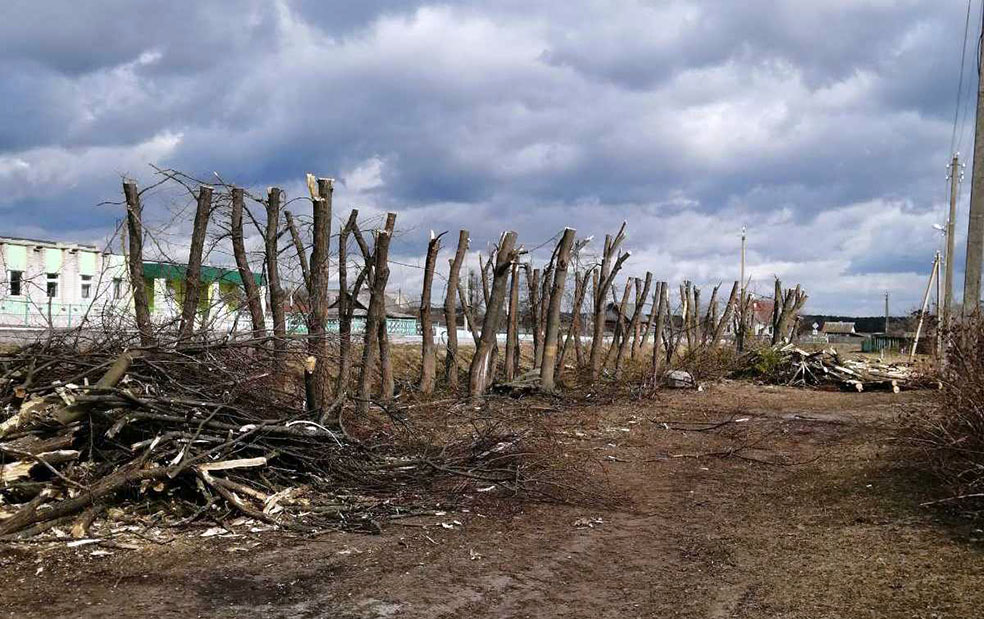 viber_image_2023-03-15_14-58-40-128