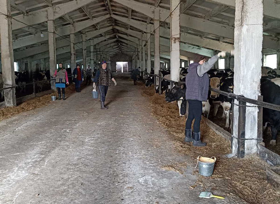 viber_image_2023-03-15_15-50-27-475