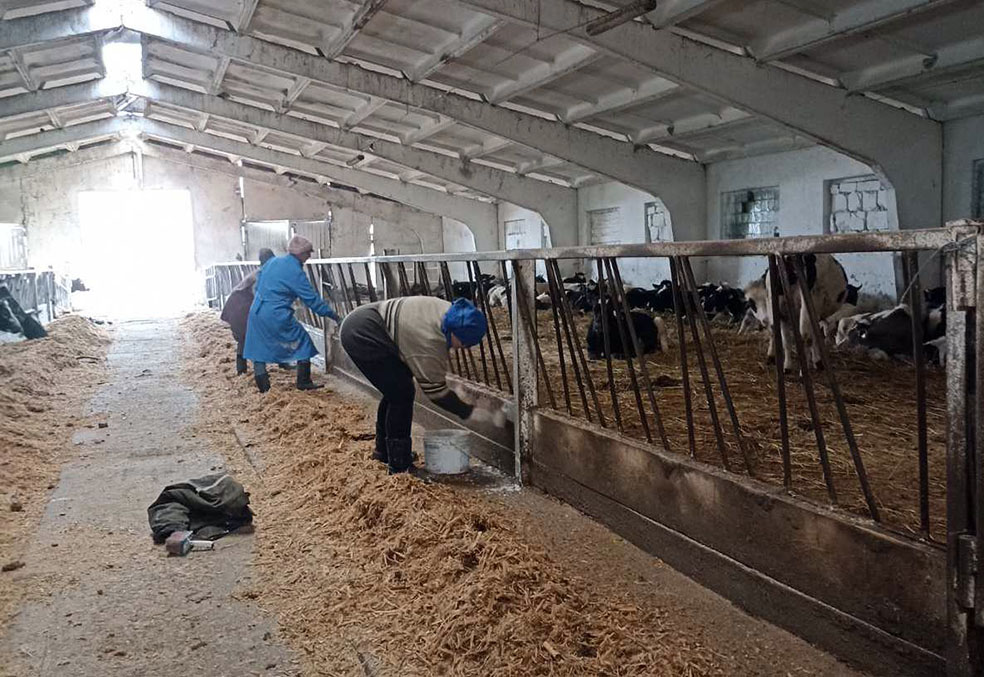 viber_image_2023-03-15_20-17-20-241