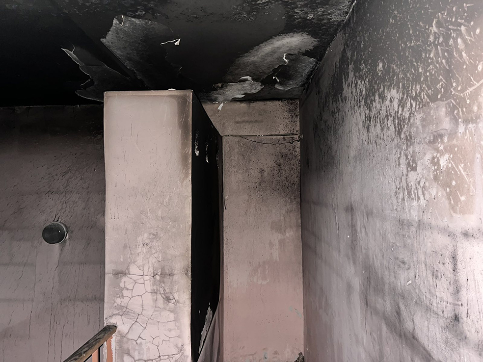 viber_image_2024-03-26_18-17-34-797