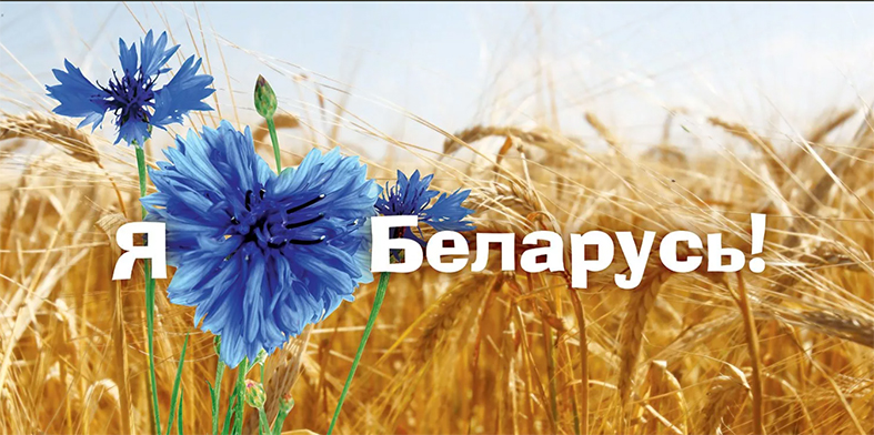 я люблю беларусь копия