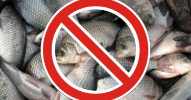 запрет на рыб