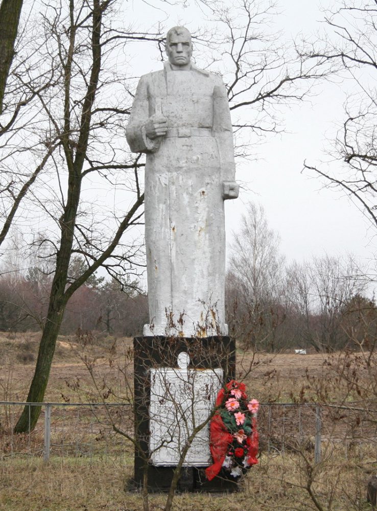 Братская могила,д.Ст.Новоселки