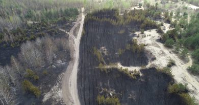 Пожароопасный сезон отступил — извлекаем уроки Пожароопасный сезон отступил — извлекаем уроки