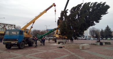 В Калинковичи прибыла главная новогодняя красавица района В Калинковичи прибыла главная новогодняя красавица района