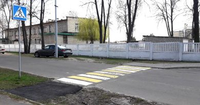 Тротуар для пешехода: больше в лужу нету хода Тротуар для пешехода: больше в лужу нету хода