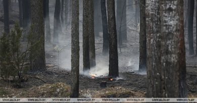 Пожар в Чернобыльской зоне не повлиял на радиационную обстановку в Беларуси – Белгидромет Пожар в Чернобыльской зоне не повлиял на радиационную обстановку в Беларуси – Белгидромет