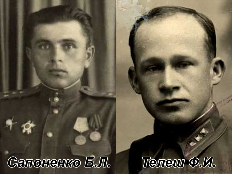 сапоненко копия