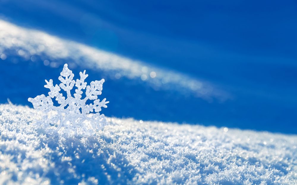 фото носит иллюстративный характер